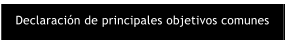 Declaraci�n de principales objetivos comunes