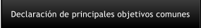 Declaraci�n de principales objetivos comunes